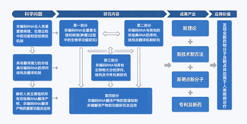 安吉生物高通量微肽发现技术整体路线